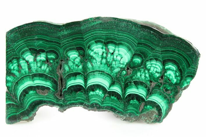 Polished Malachite Slab - DR Congo #266801